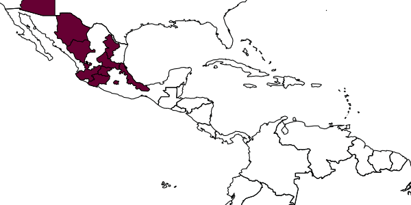 map of Centris laevibullata     Snelling, 1966